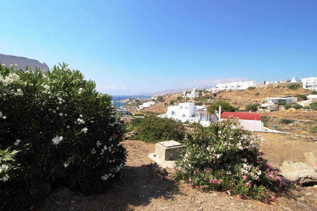 Crystal View Mykonos Aparthotel Mykonos Town Buitenkant foto